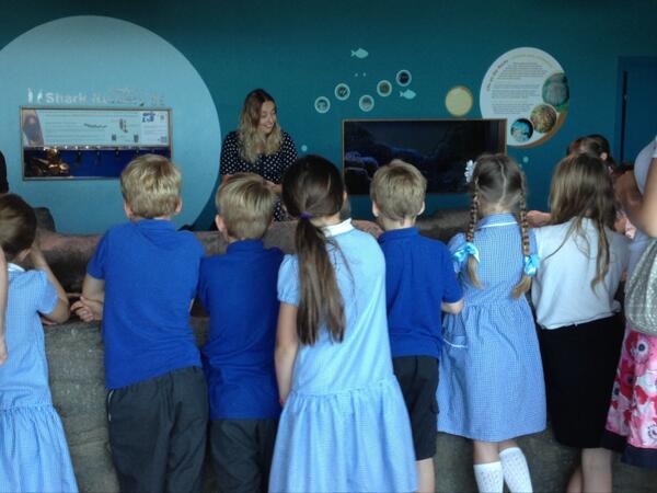 DevonWildlife's tweet image. Plymouth Marine Champions on tour of the @NMAPlymouth. Did you know starfish breath through their feet?!