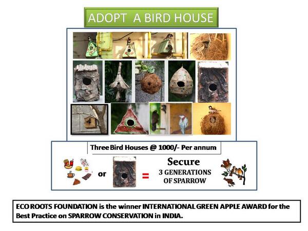 need support for this GREEN CAUSE