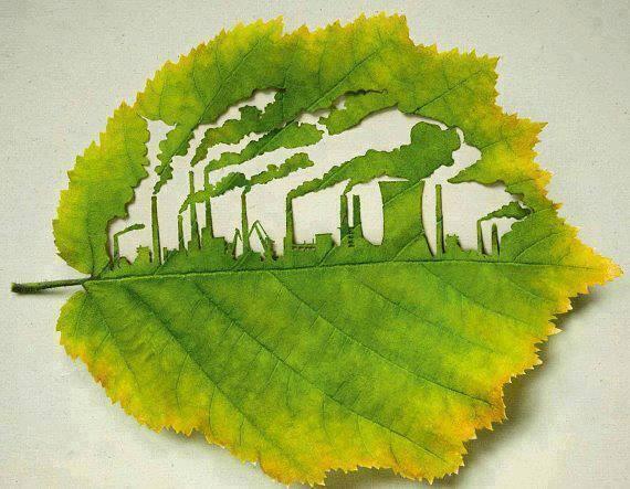 Leaf art with a thought provoking message