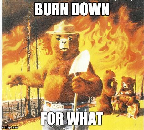 smokey_bear's tweet image. Sometimes you have to speak kids’ language to get their attention...