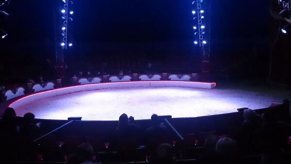 ThijsFixxUtWel's tweet photo. @ het circus sinds 20 jaar. Ben benieuwd http://t.co/PD6z45jr5w