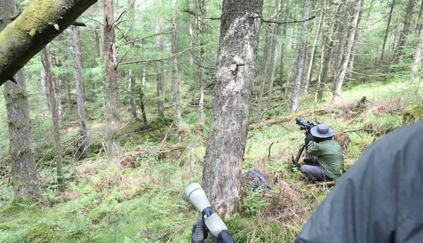 Ray Mears (@raymearswild) on Twitter photo 