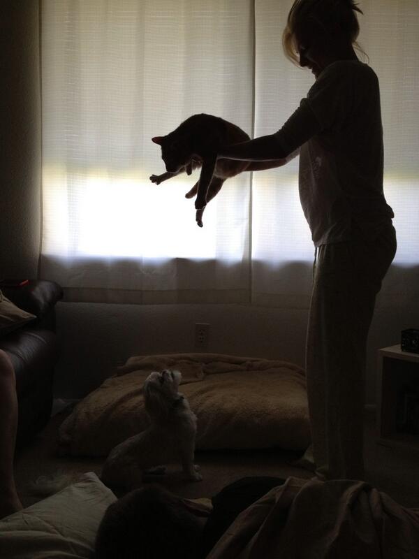 Trevor Cripe (@trevorcripe) on Twitter photo 