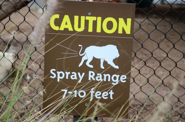 San Diego Zoo Wildlife Alliance tweet media