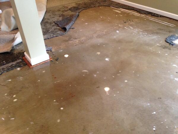 willvan89's tweet image. This is my basement. Water is devastating. When cleaning up from water damage, make sure you remove all bacteria.