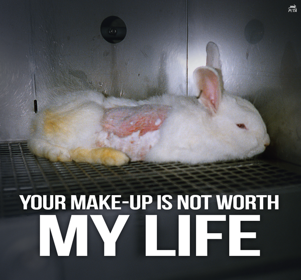 Peta On Twitter It S A Great Day For Bunnies China To Explore Crueltyfree Alternatives To Animal Testing Http T Co Gjsgphadyv Http T Co Yl3crs5u1c