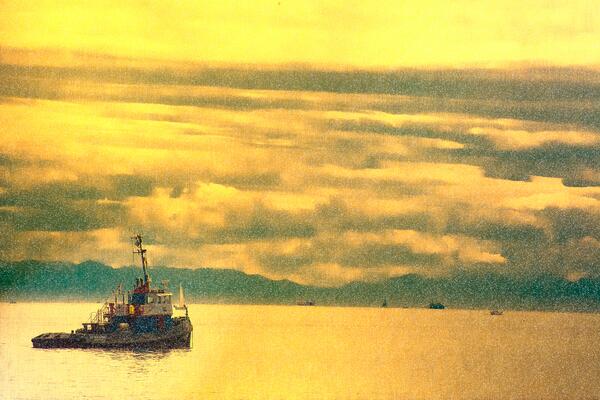 illusCrafts's tweet image. Rain effect, super fun, you also can combine it with lighting effect using Photoshop
illustratorcrafts.com/tutorial-index…