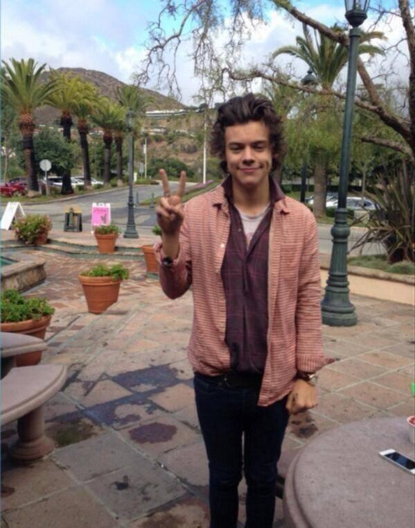 twdeadan's tweet image. Oi sou Harry styles