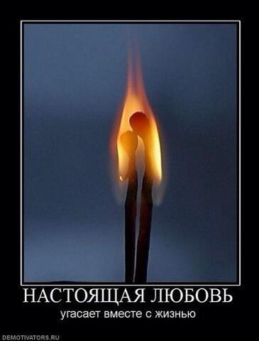 твитнуть