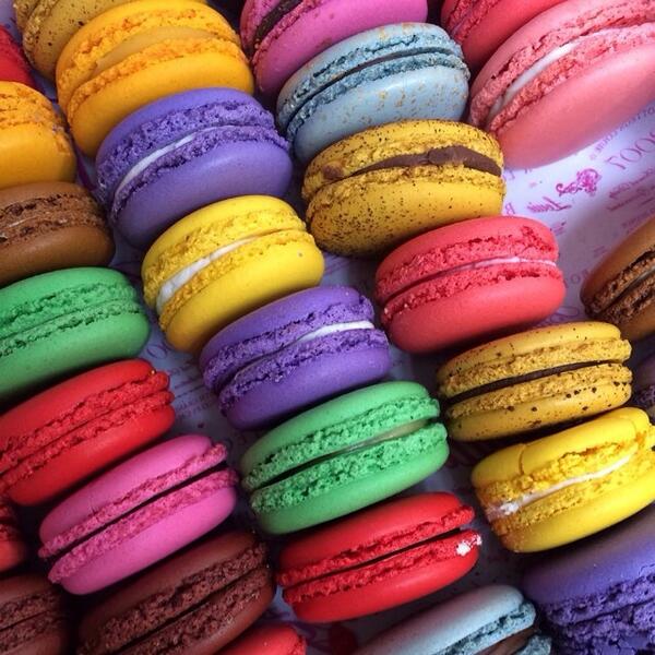 jennysandlin's tweet image. Reason #infinity we ❤️ @jenmeyerjewelry—thanks the macarons!! 😘 #zoereporter instagram.com/p/pcjm4XR74u/