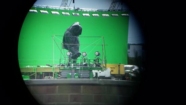 View image on Twitter