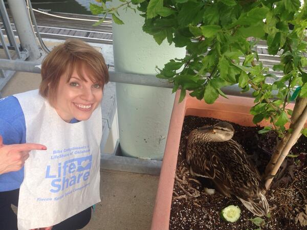 LSOKDataGeek's tweet image. Who doesn&apos;t appreciate a protective momma! #aopoembracingchange #lifeshareok