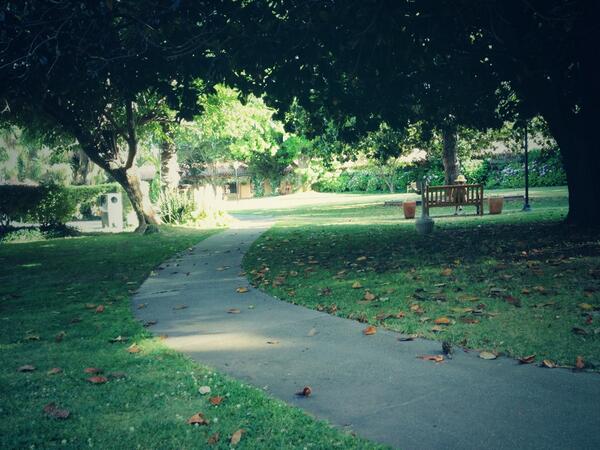 Kinda diggin' the <a href="/InnMarinNovato/">Inn Marin</a> hotel here in Sonoma.