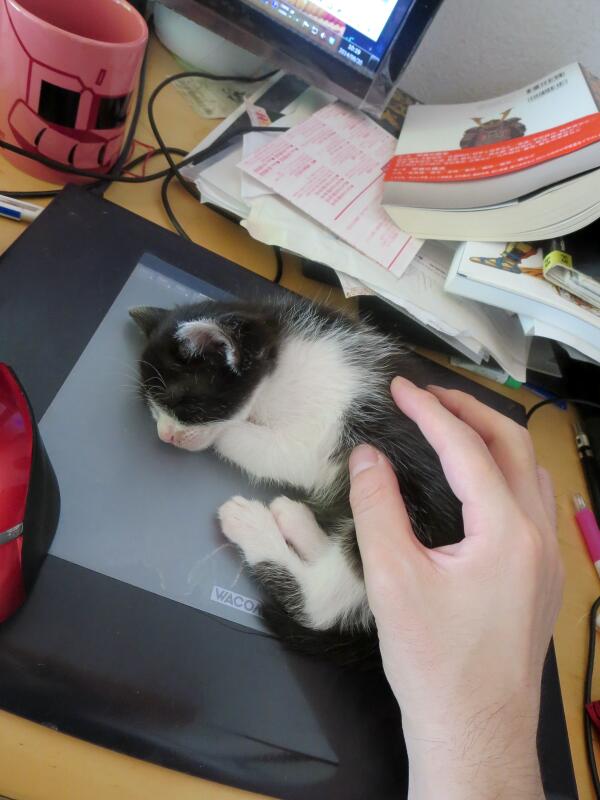 マウスかと思ったら子猫だった