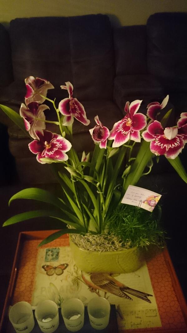 KimmiFerchuk's tweet photo. From my coworkers Audrey, Rita and Donna! They smell amazing and they are so beautiful. Thank you! http://t.co/KgrWYV66px