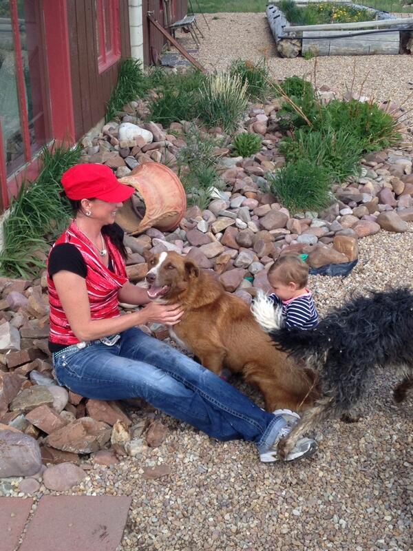 Kalley Bryn Kinghorn (@brynkalley) on Twitter photo 