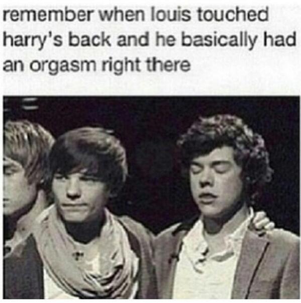 Recuerdo cuando Louis tocó la espalda de Harry y él básicamente tuvo un orgasmo ahí mismo.  ( ͡º ͜ʖ ͡º) ❤️