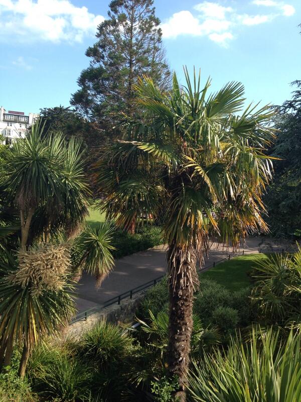 mortley_stevens's tweet photo. Just had an early morning jog in the park. #lovebournemouth #sunshine http://t.co/IPqDJ7LoEo