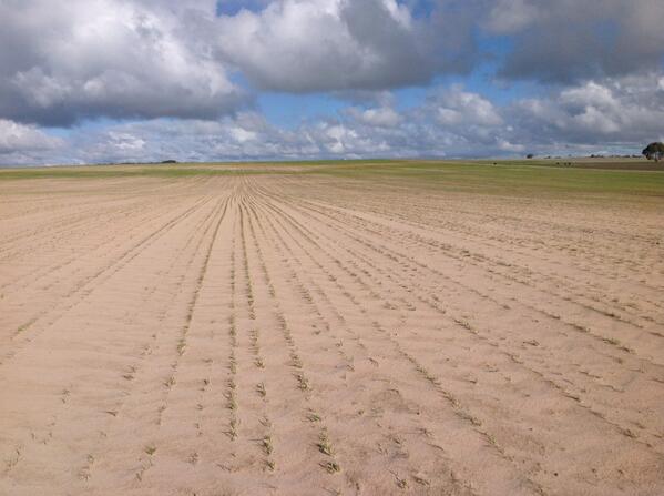 ZimStead's tweet image. Paddock view of last tweet. #brutalwind #mouldboard #season2014