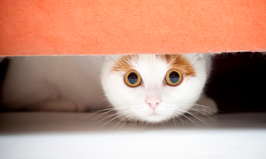 Cosmopolitan's tweet photo. 10 things you need to never say to an anxious person: http://t.co/zNvwajk20p http://t.co/ldvfs8tQql