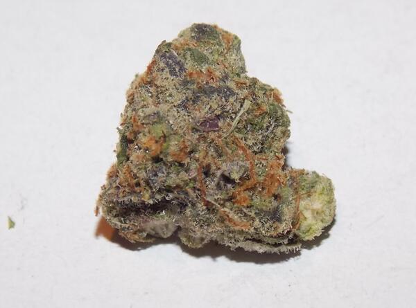 420LLC's tweet image. Review coming up...a new Girl Scout Cookies!  #Ganja #legalizeit #MMJ #weeds #kush #Strainz #GSC #purple