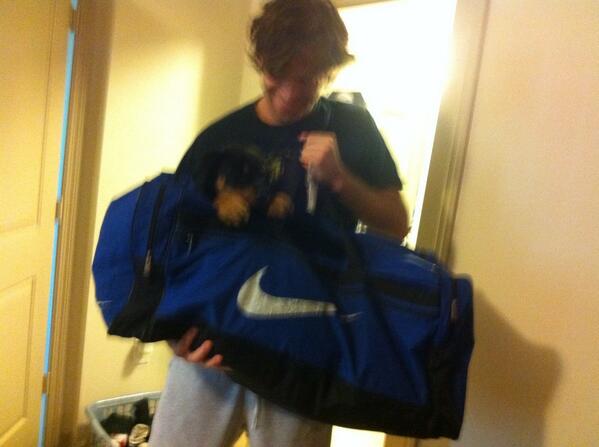 MJClements3's tweet image. Packing and Look who wants to come with me.