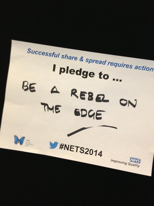NETSQI's tweet image. At #NETS2014 with @helenbevan and @nhshem