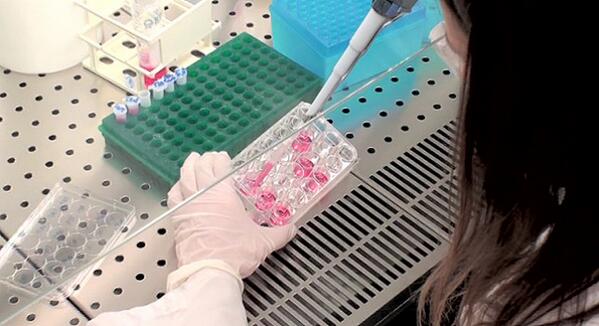 Demuestran en ratones el efecto terapéutico del aceite de oliva virgen en la esclerosis antena3.com/noticias/cienc…