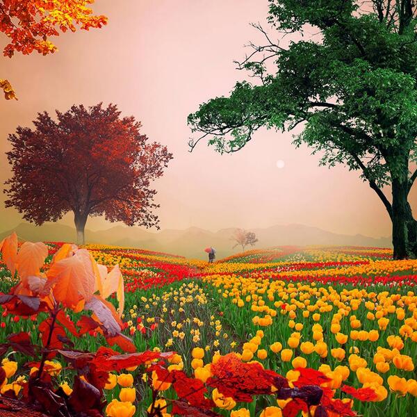 Gabriele Corno tweet media