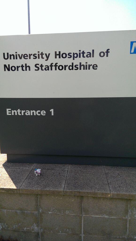 NephrologyCow's tweet photo. On official interdeanery business. http://t.co/IRqmvbiJli