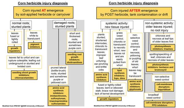 Corn Herbicide Chart