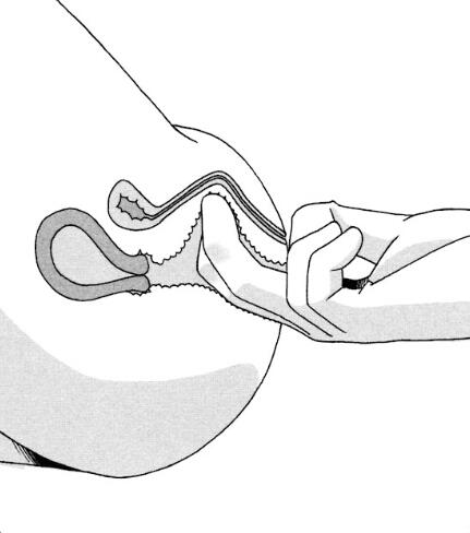 91. 질 내부를 압박하는 방법
검지와 약지를 질속에 넣고 안쪽 벽을 구부리거나
자신의 손가락을 구부려 압박합니다.
흔히 G스팟이라고 불리는 위치를 누르면
여성의 만족도가 높아집니다.
