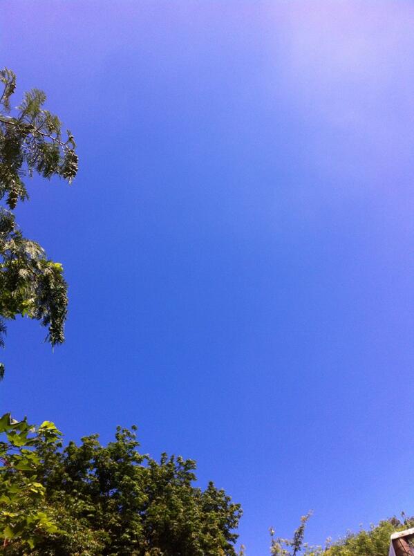 ikidsdesign's tweet image. Combining the great weather with work. Moved my office outside.Looking at the beautiful blue sky.Not very productive!