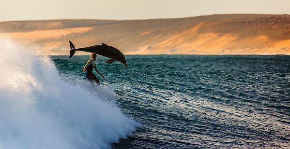 suckmylady's tweet photo. RT @surfinglatino: Feliz día internacional del surf! #InternationalSurfingDay @ISAsurfing @ALASLatinTour @ASP http://t.co/4wTUWGcrma 🏄