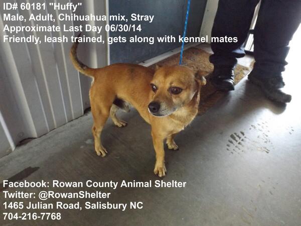 RowanShelter's tweet photo. http://t.co/qptViGJusb