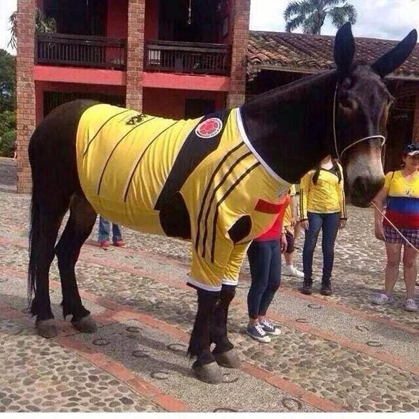 BesameBogotaFM's tweet photo. Foto de #Filimon "El Justiciero" de: #LaVallenataEnLaMañana @RafaNarvaez @AlexGuzmanDJ @LaChicaleoDj @nelsonpachecodj http://t.co/eV9RvDm0bF