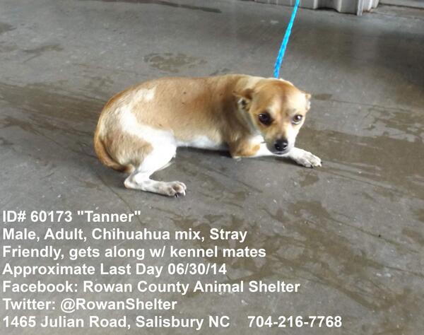 RowanShelter's tweet photo. http://t.co/OFjArnEepz