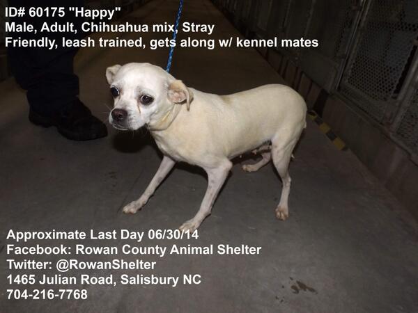 RowanShelter's tweet photo. http://t.co/F0hLDiwsso