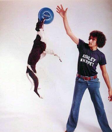 MaltyBrown's tweet image. Who&apos;s the Abner Doubleday of Frisbee Dogs?  This duo! #ashleywhippet #frisbeedog