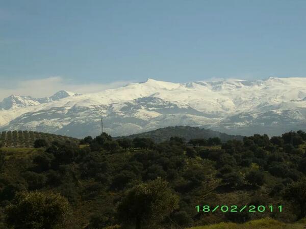 Fidel Castillo Zarco (@zarcofidel) on Twitter photo 