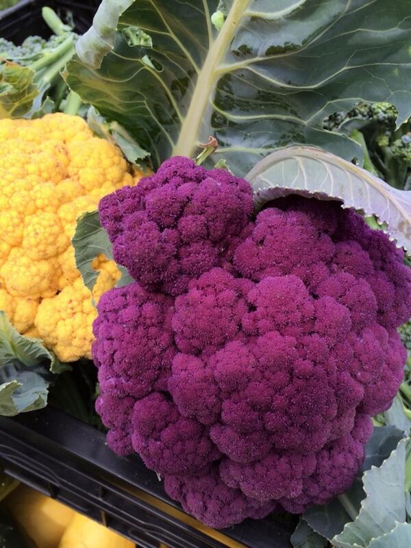 Joshua Moore tweet media