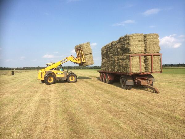 HenlowHayMan's tweet photo. Baling and carting meadow hay. #scorcher @TheFarmingForum # #welger #balebandit http://t.co/FQpHyZGlk6