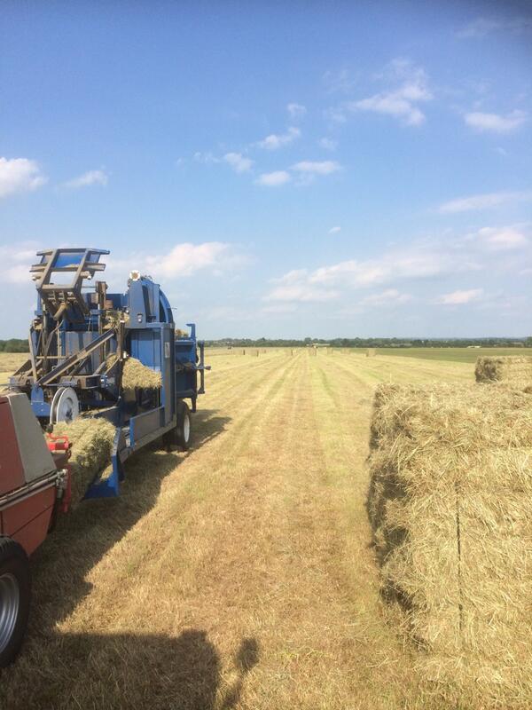 HenlowHayMan's tweet photo. Baling and carting meadow hay. #scorcher @TheFarmingForum # #welger #balebandit http://t.co/FQpHyZGlk6