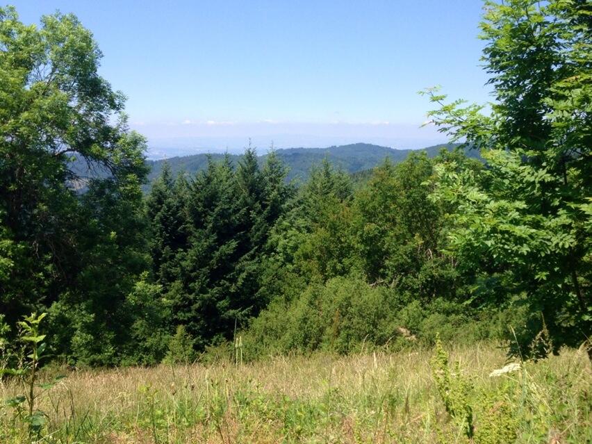 Permalien de l'image intégrée