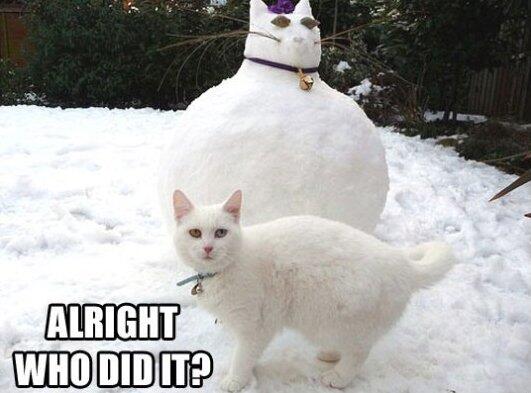 ArthurDuckett's tweet photo. http://t.co/N1eD3oo1Vl