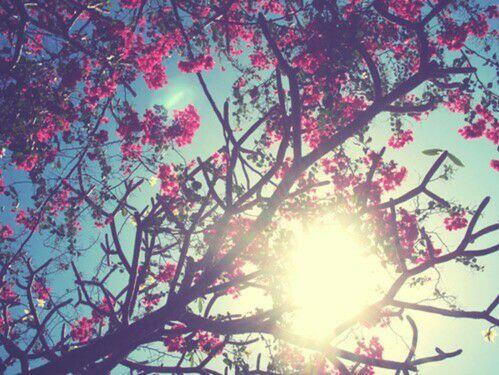 DYurkowski's tweet image. 