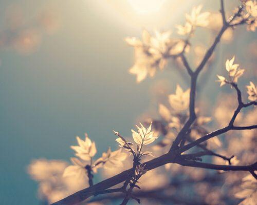 DYurkowski's tweet image. 