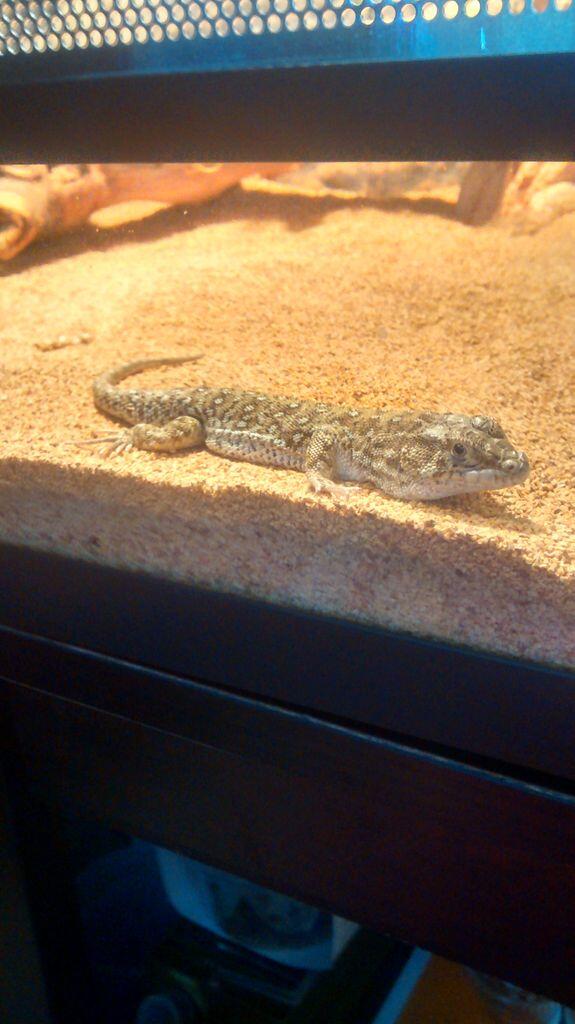 DYurkowski's tweet image. 