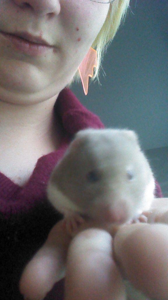 DYurkowski's tweet image. 