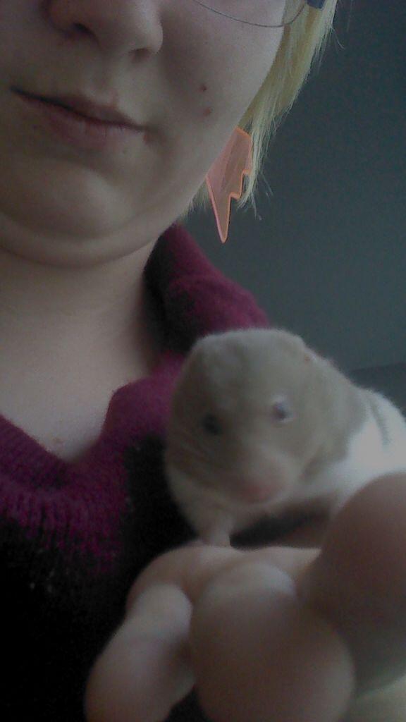 DYurkowski's tweet image. 